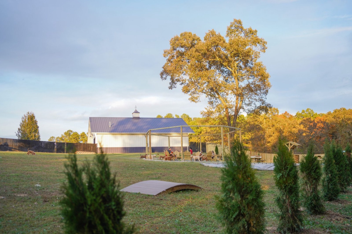 Bestland’s barn and covered pavilion on the 40-acre farm at golden hour