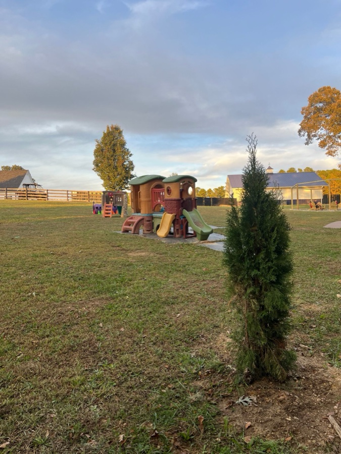 Bestland’s open play yard and enrichment equipment at dusk