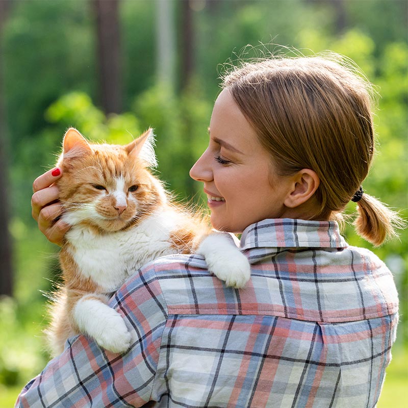 A cat being held outdoors