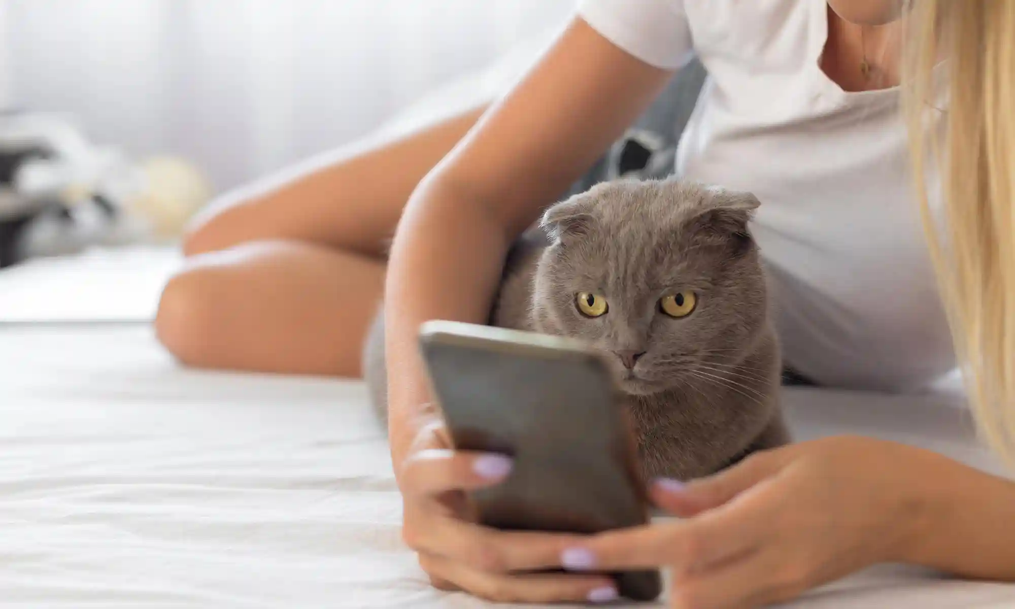 A woman with her cat looking at a phone